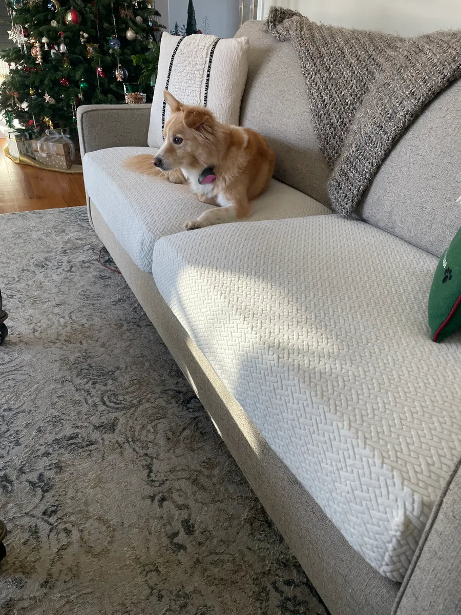 Premium Stretch Velvet Sofa Cover – Washable, Non-Slip, Pet & Kid Friendly
