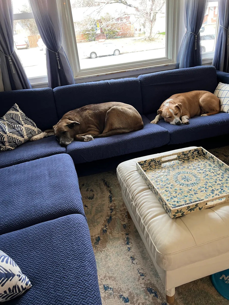 Premium Stretch Velvet Sofa Cover – Washable, Non-Slip, Pet & Kid Friendly
