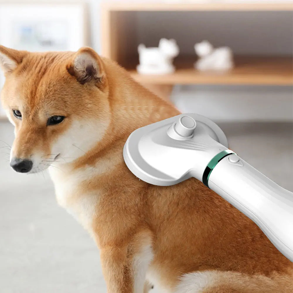 Pet Comb Hair Dryer Maroon Asteria