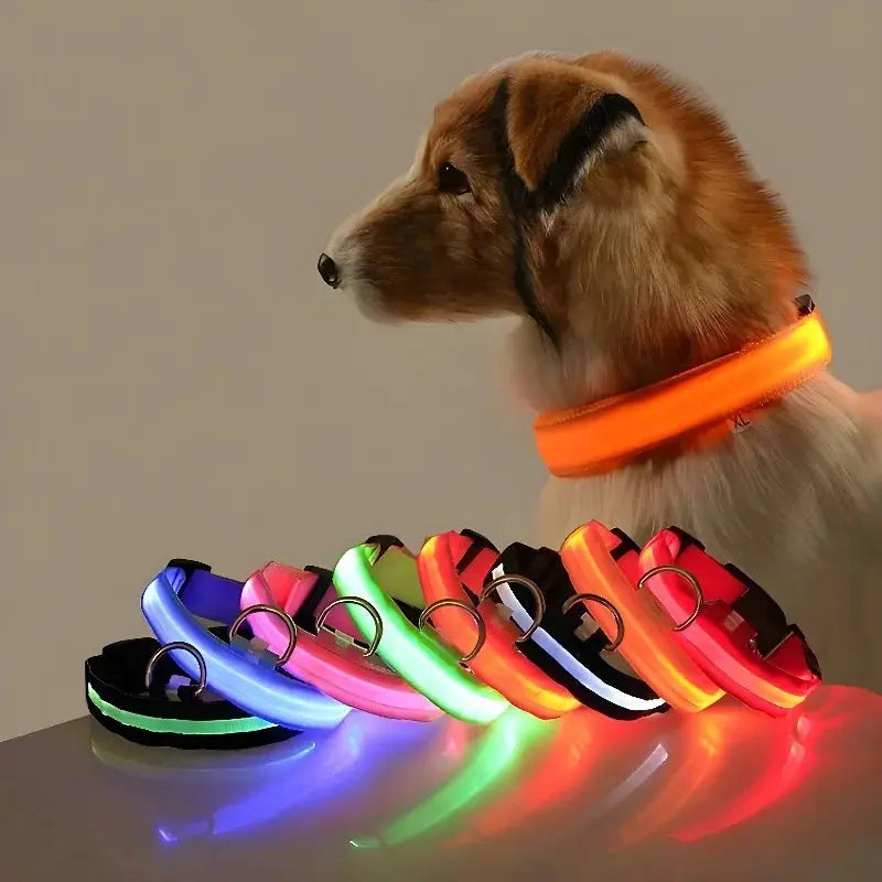 Dog Collar Nylon LED Night Safety Flashing Glow In The Dark Pet Dog Leash pet Dogs Luminous Fluorescent dog accessories collar Stone's Store