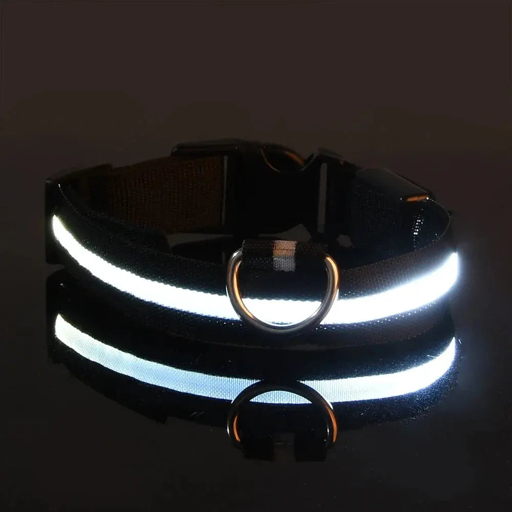 Dog Collar Nylon LED Night Safety Flashing Glow In The Dark Pet Dog Leash pet Dogs Luminous Fluorescent dog accessories collar Stone's Store