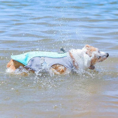 Dog Cooling Vest - Lightweight, Breathable, and Reflective
