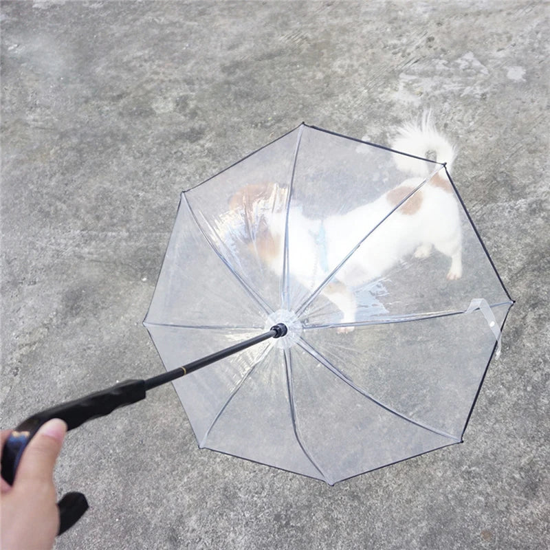 New Transparent Pet Umbrellas Small Dog Umbrella With Dog Leash Iron