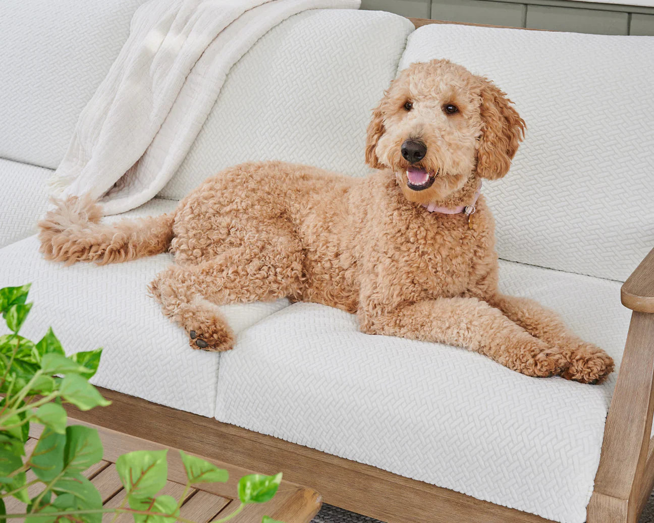 Premium Stretch Velvet Sofa Cover – Washable, Non-Slip, Pet & Kid Friendly