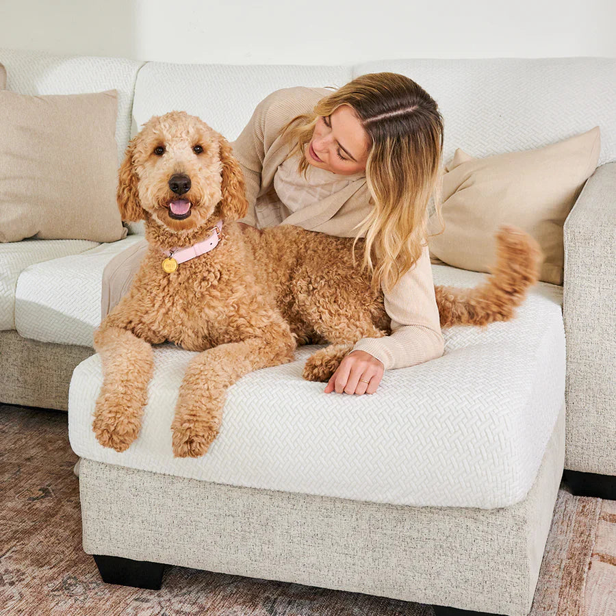 Premium Stretch Velvet Sofa Cover – Washable, Non-Slip, Pet & Kid Friendly