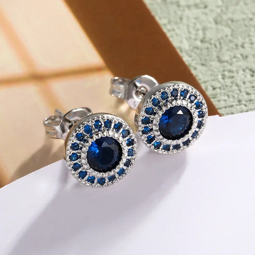 Women's Delicate Acupuncture Points Weight Loss Earrings Cubic