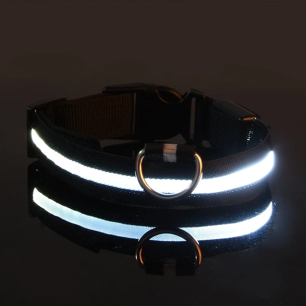 Dog Collar Nylon LED Night Safety Flashing Glow In The Dark Pet Dog Leash pet Dogs Luminous Fluorescent dog accessories collar Stone's Store