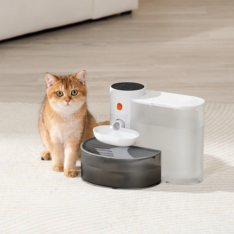 Pure Hydration, No Filters Needed – The Filter-Free Cat Fountain