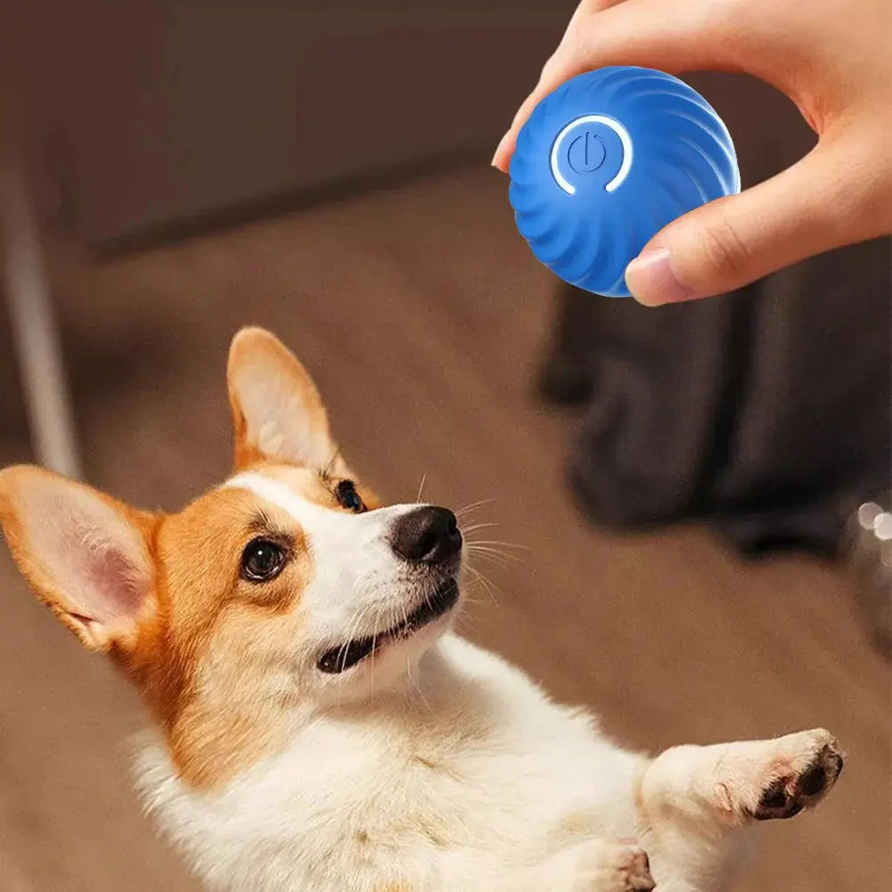 Smart Dog Interactive Pet Toy Life-Home Store