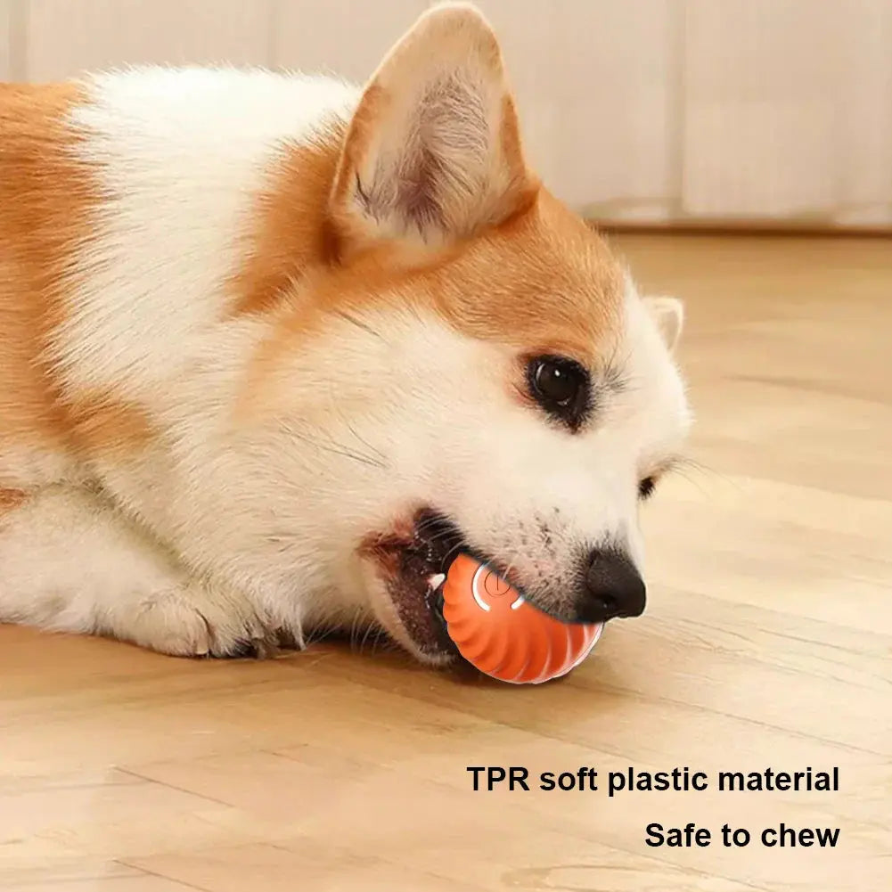 Smart Dog Interactive Pet Toy Life-Home Store