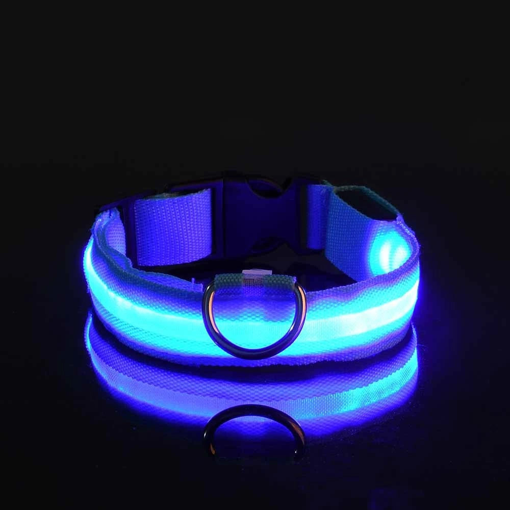 Dog Collar Nylon LED Night Safety Flashing Glow In The Dark Pet Dog Leash pet Dogs Luminous Fluorescent dog accessories collar Stone's Store