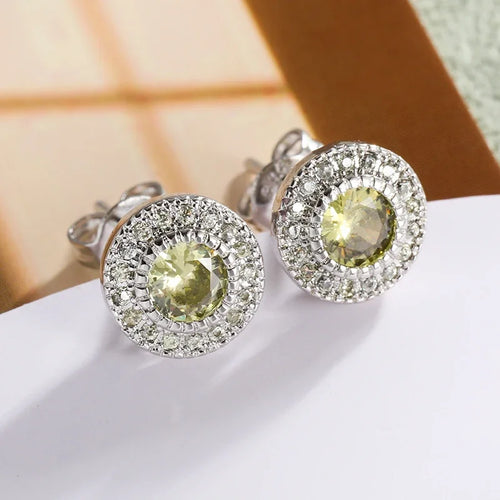 Women's Delicate Acupuncture Points Weight Loss Earrings Cubic