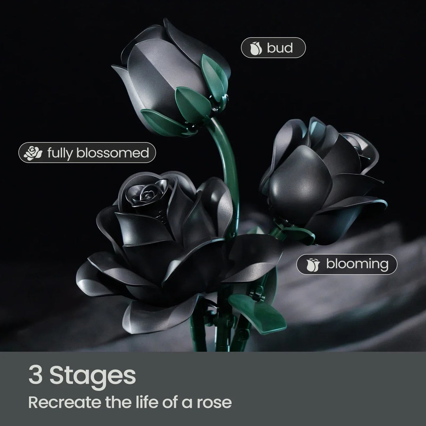 Eternal Elegance – Black Rose Block Bouquet