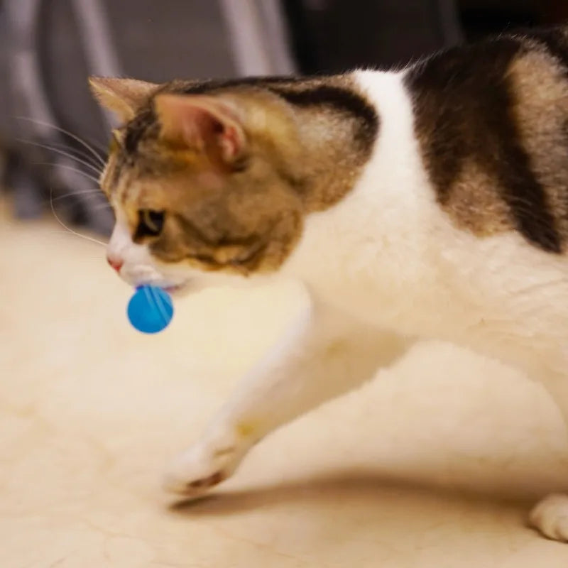 3Pcs/Set Pet Toy Caterpillar Elastic Ball Cat Toy Rainbow Worm