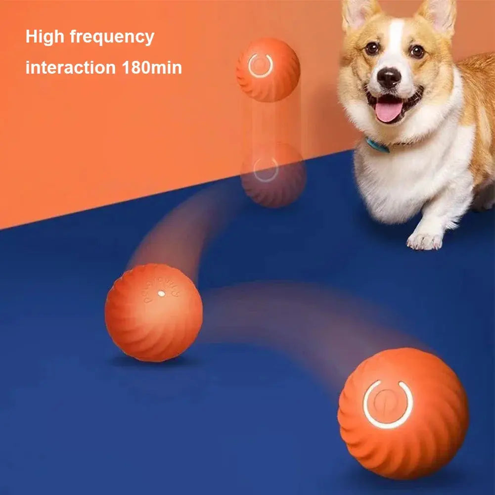 Smart Dog Interactive Pet Toy Life-Home Store