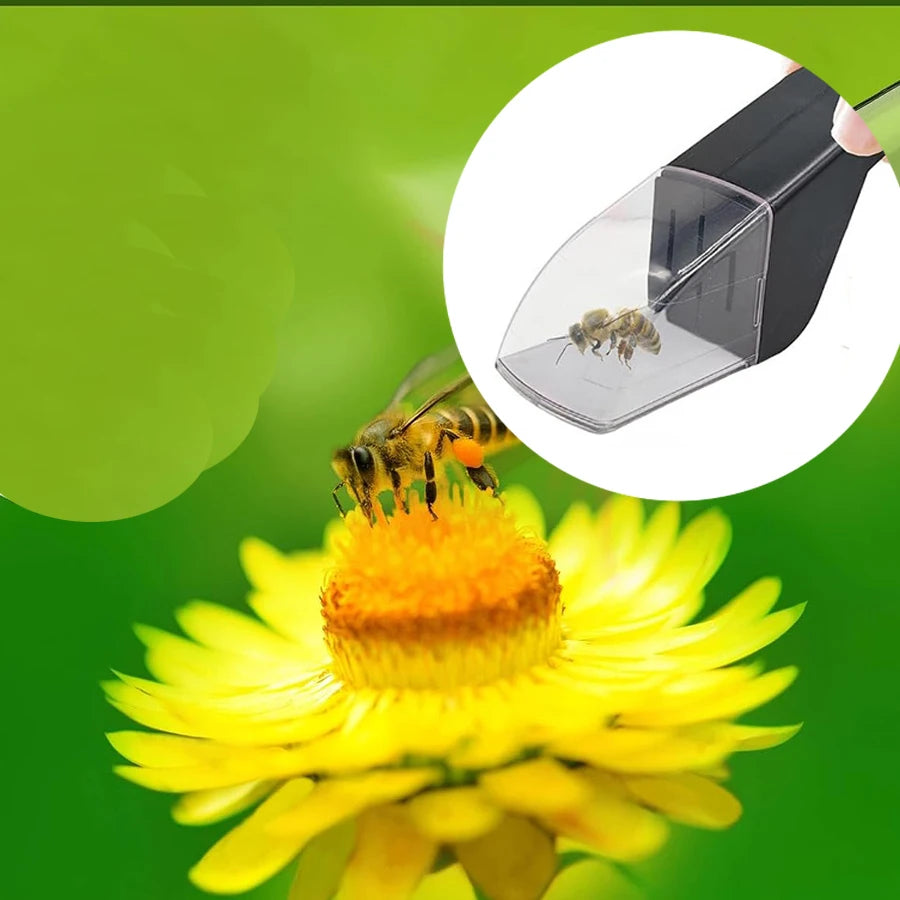 Bug Catcher Kids Quick Release Catching Tool Humane Insect Observer Clear Window Contactless Container Adults Nature Exploration