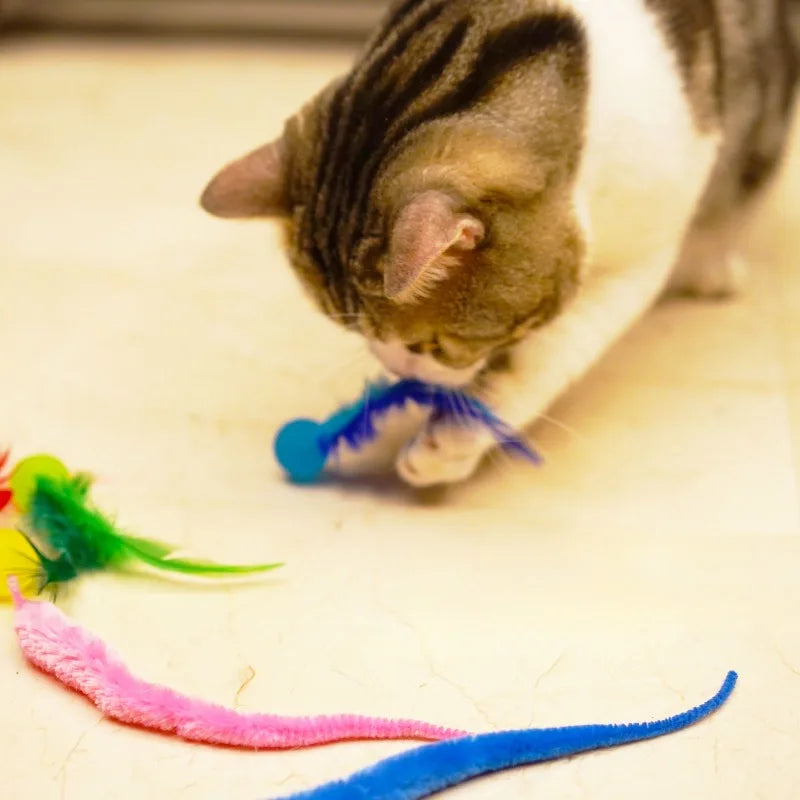 3Pcs/Set Pet Toy Caterpillar Elastic Ball Cat Toy Rainbow Worm