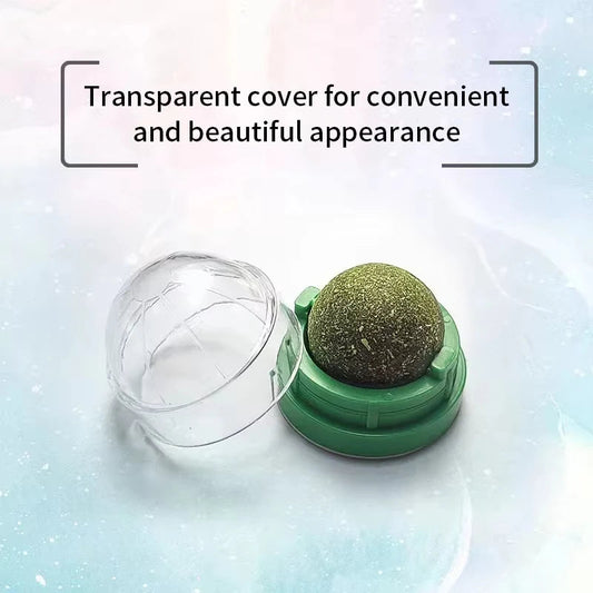 Natural Catnip Cat Wall Stick-on Ball Toy Scratchers Treats Healthy Natural Removes Balls to Promote Digestion Cat Grass Snack Hachi Pet Store