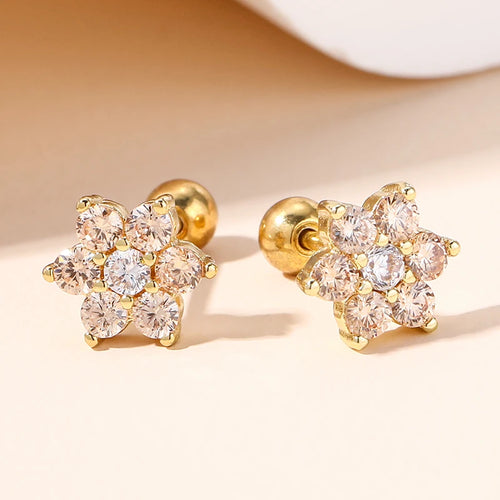 Women's Delicate Acupuncture Points Weight Loss Earrings Cubic
