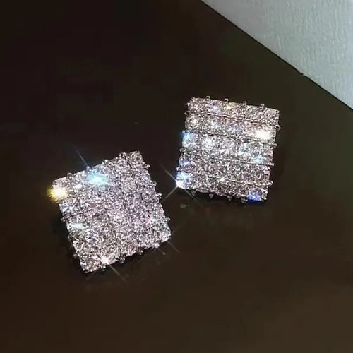 Women's Delicate Acupuncture Points Weight Loss Earrings Cubic