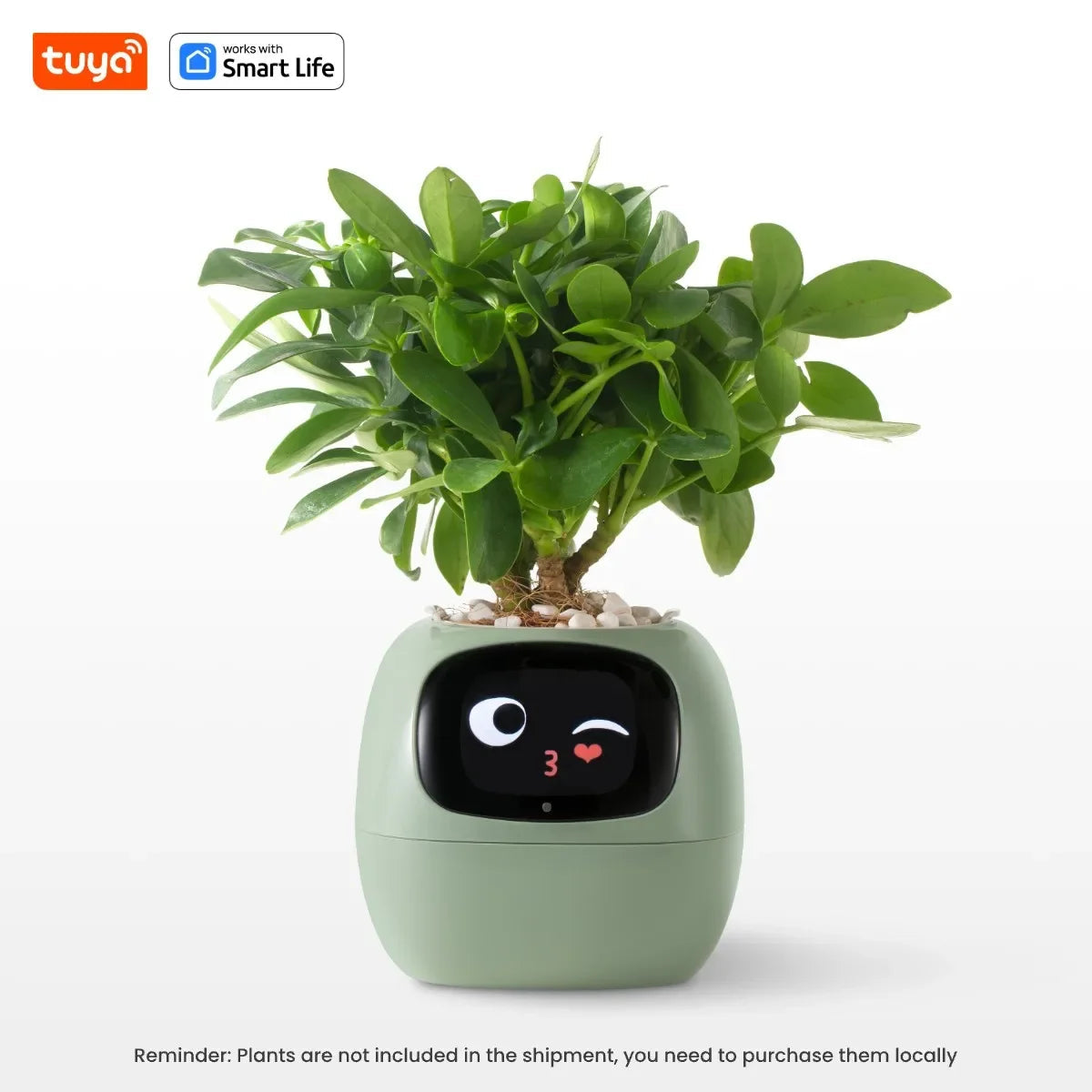 Tuya Ivy Smart Planter Bee Store