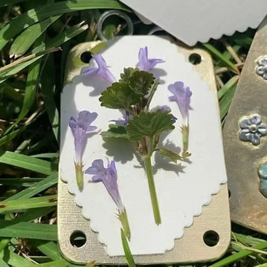 Bloom Forever: Handmade Micro Flower Press Kit
