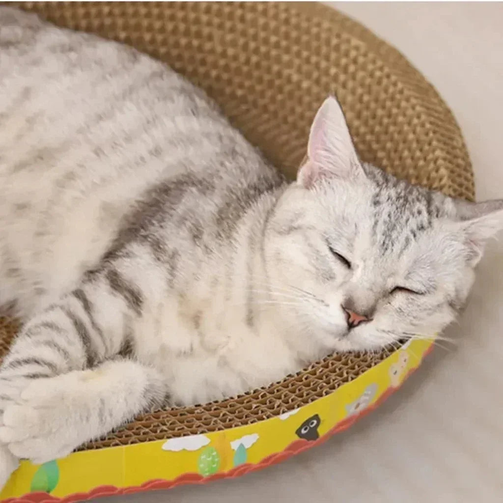 Cat Scratcher Bed Corrugated Oval Shaped