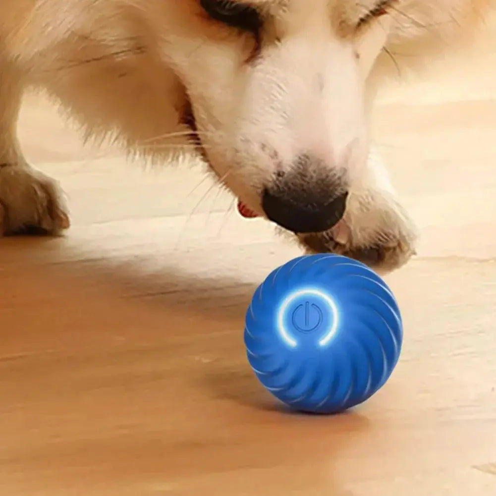 Smart Dog Interactive Pet Toy Life-Home Store