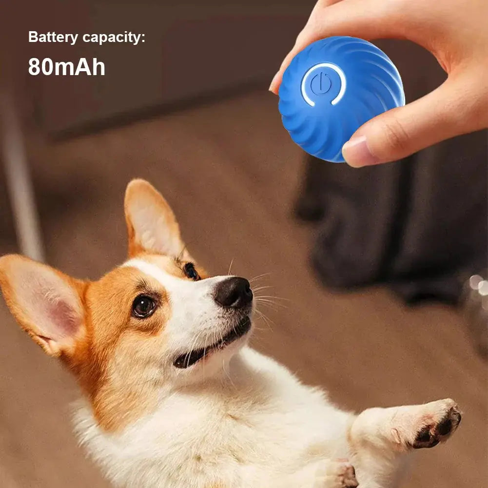 Smart Dog Interactive Pet Toy Life-Home Store