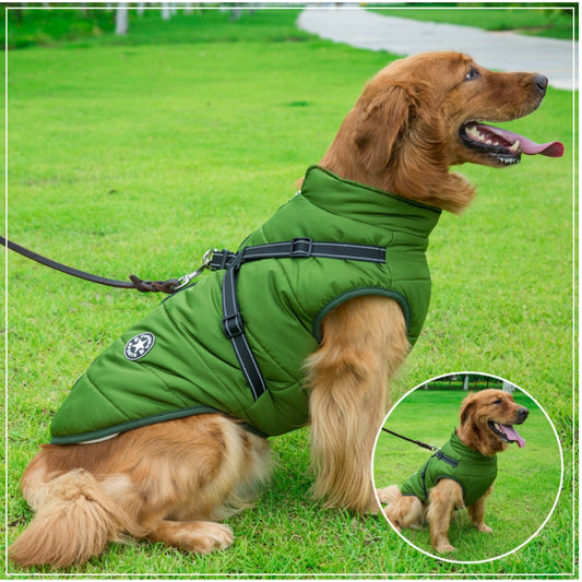 Dog Coat With Built In Harness - Green South Bay Evans General Store