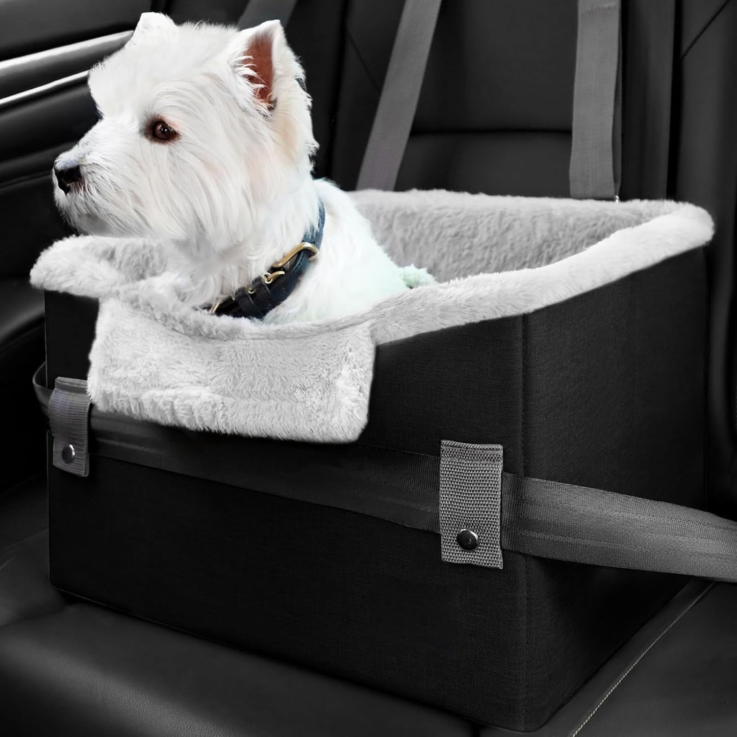 Portable Small Dog Car Booster Seat For Car With Clip-On Safety Leash Perfect For Small Pets Yvictory Store
