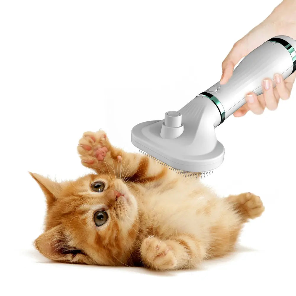 Pet Comb Hair Dryer Maroon Asteria