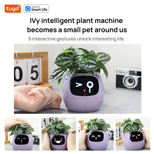 Tuya Ivy Smart Planter Bee Store