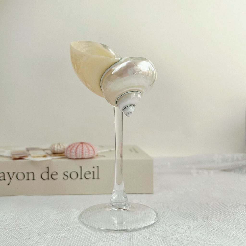 Shell Conch Wine Glass Aromatherapy Dish Decoration Cup