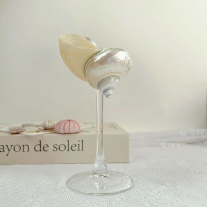 Shell Conch Wine Glass Aromatherapy Dish Decoration Cup