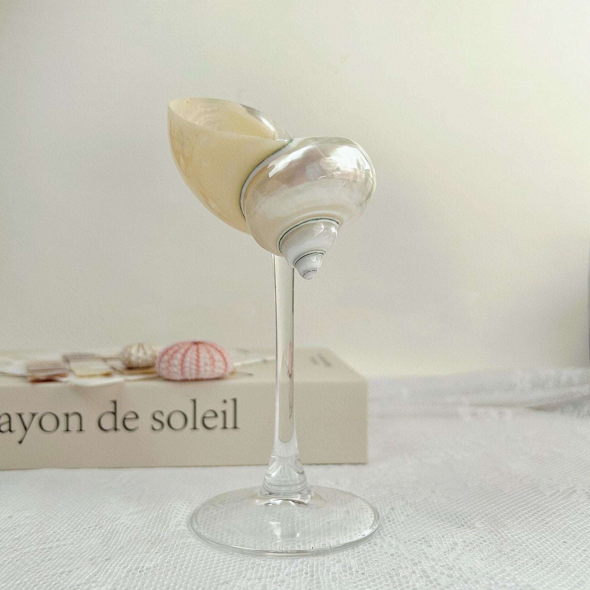 Shell Conch Wine Glass Aromatherapy Dish Decoration Cup
