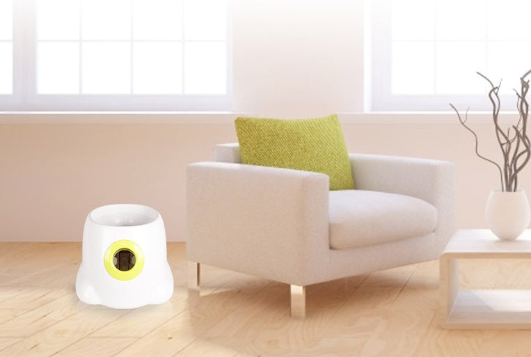 Dog Pet Automatic Interactive Ball Launcher Maybuy Store