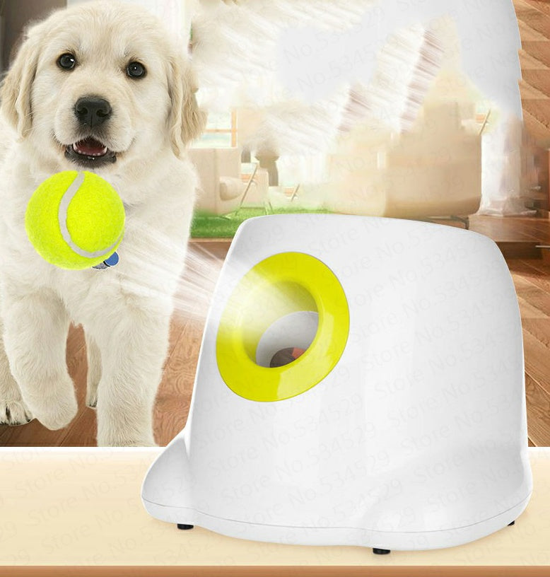 Dog Pet Automatic Interactive Ball Launcher Maybuy Store
