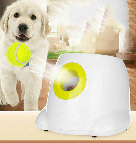 Dog Pet Automatic Interactive Ball Launcher Maybuy Store