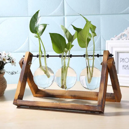 Glass and Wood Vase Planter Table Desktop Tool Dropshipping Store