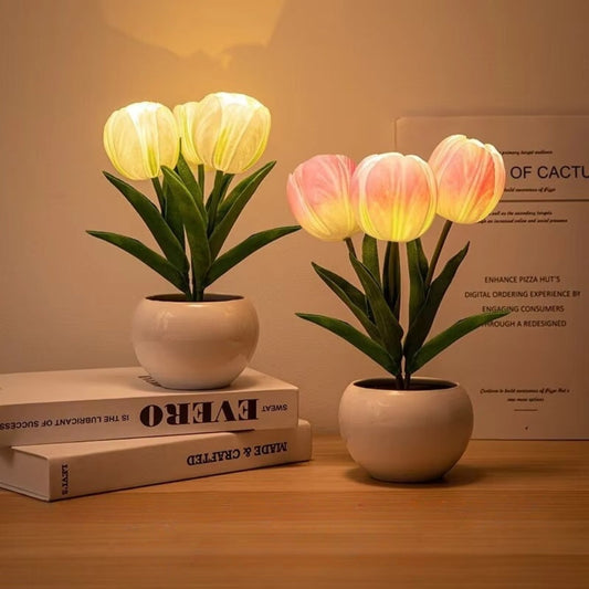 Tulip Table Lamp LED Bedside Lamp Shop1104212590 Store