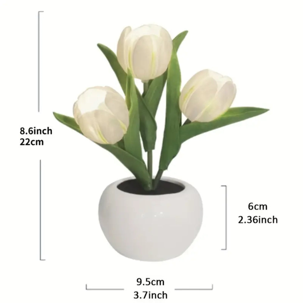 Tulip Table Lamp LED Bedside Lamp Shop1104212590 Store