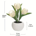 Tulip Table Lamp LED Bedside Lamp Shop1104212590 Store