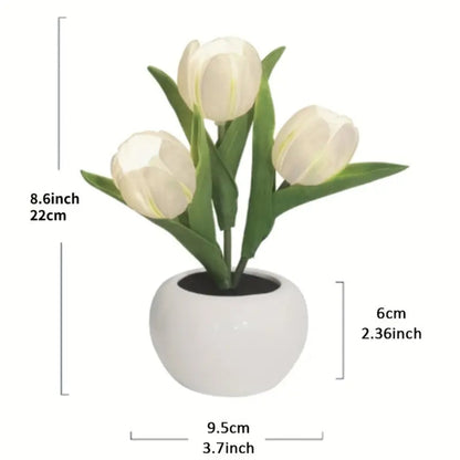 Tulip Table Lamp LED Bedside Lamp Shop1104212590 Store