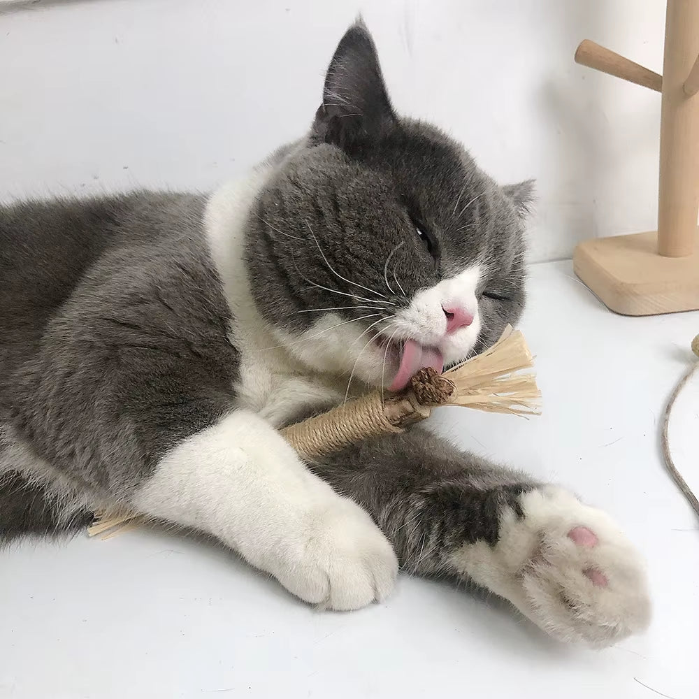 Natural Matatabi Pet Cat Snacks Sticks Cleaning Tooth Catnip Cat Toys Actinidia Silvervine Pet Toy for Cats Accessories