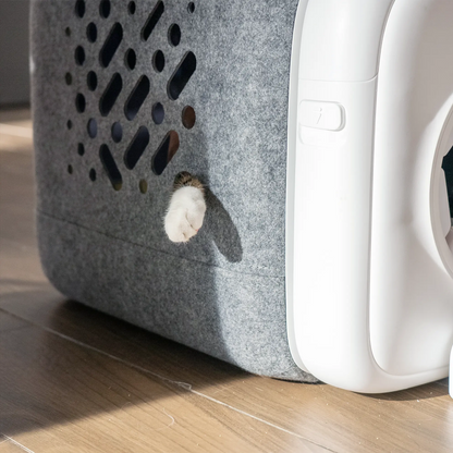 PawSwing AutoComb South Bay Evans General Store