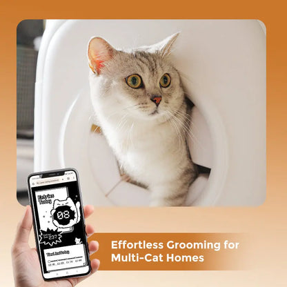 PawSwing AutoComb South Bay Evans General Store