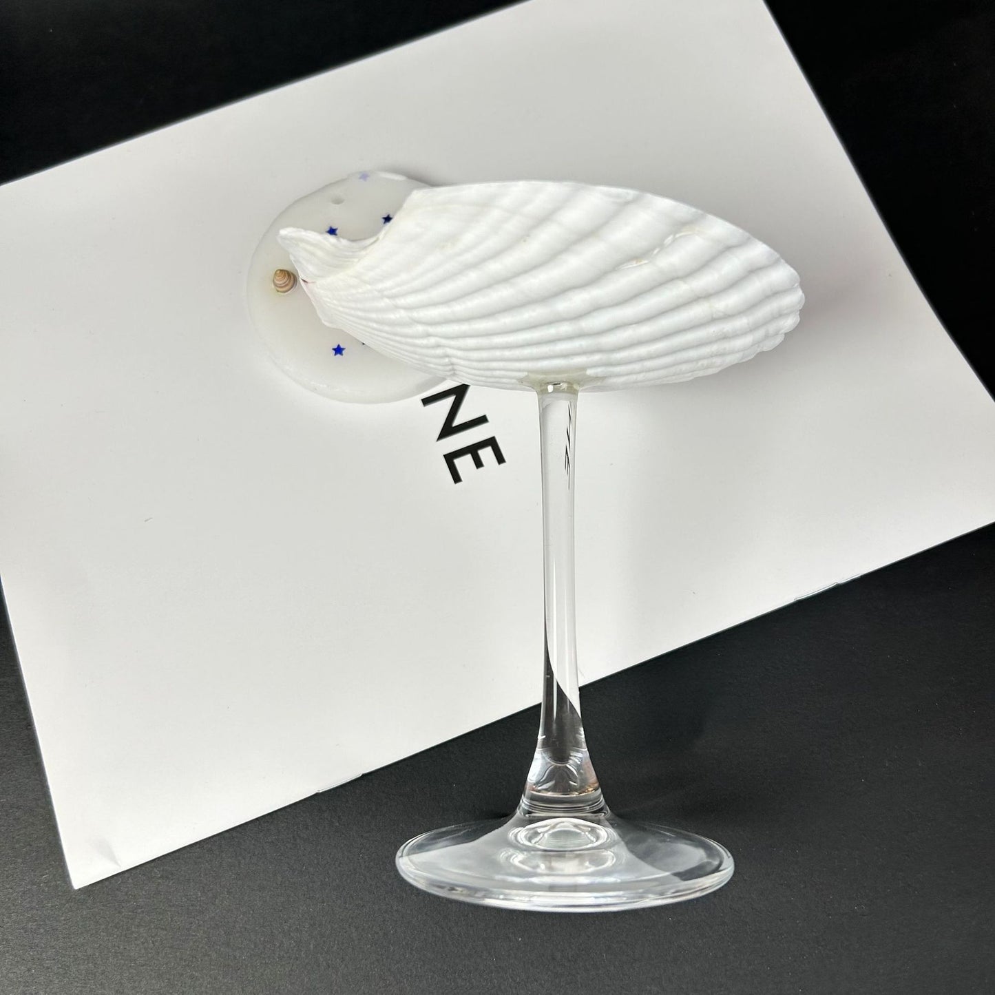 Shell Conch Wine Glass Aromatherapy Dish Decoration Cup