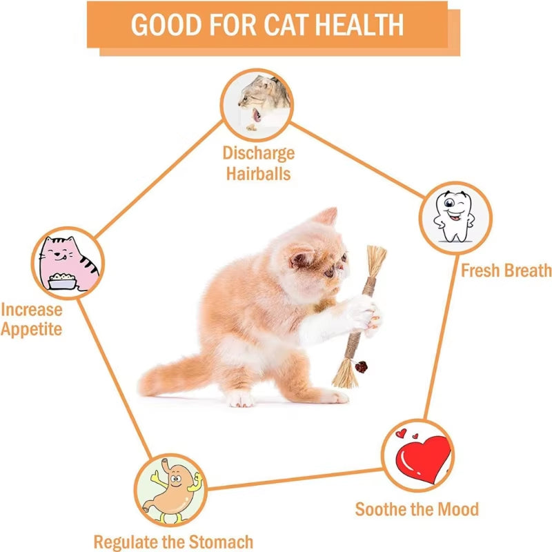 Natural Matatabi Pet Cat Snacks Sticks Cleaning Tooth Catnip Cat Toys Actinidia Silvervine Pet Toy for Cats Accessories