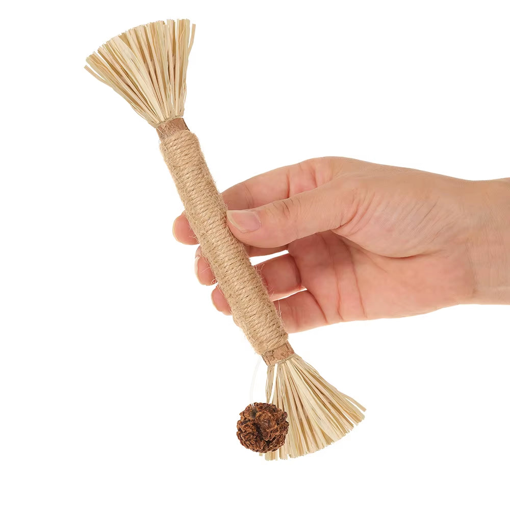 Natural Matatabi Pet Cat Snacks Sticks Cleaning Tooth Catnip Cat Toys Actinidia Silvervine Pet Toy for Cats Accessories